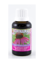 Echinamax сироп эхинацеи, 40 мл